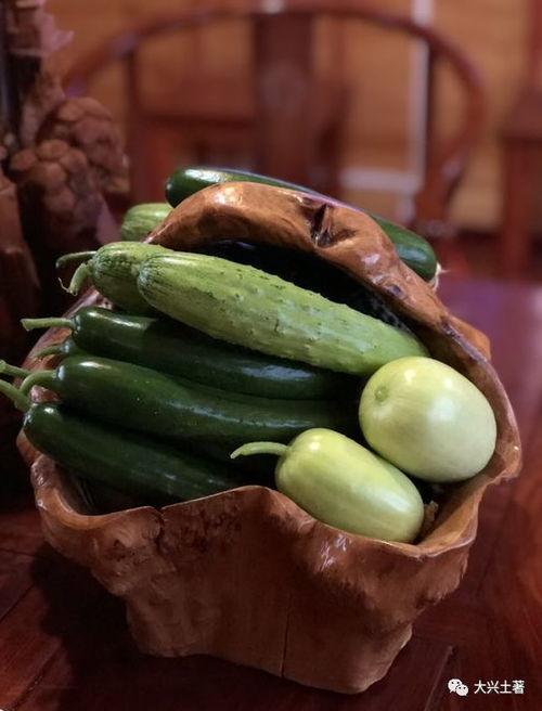 网红吃瓜变现,揭秘网络红人如何从瓜田中收获财富