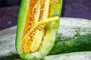 脆密瓜怎么吃,脆密瓜的多重美味吃法探索