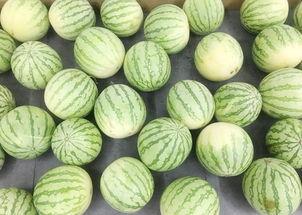 小风吃瓜地,揭秘娱乐圈幕后故事