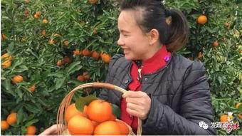 巧妇9妹吃瓜,揭秘娱乐圈幕后故事