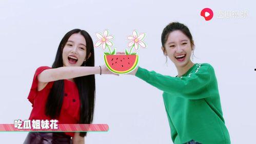 姐妹们吃瓜视频,揭秘网红姐妹花吃瓜视频背后的秘密