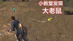 明日之后夏末吃瓜,揭秘明日之后中的神秘事件