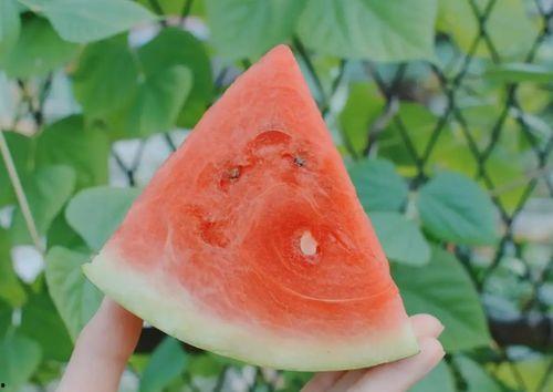 吃小瓜会升血糖,揭秘食用小瓜对血糖的影响