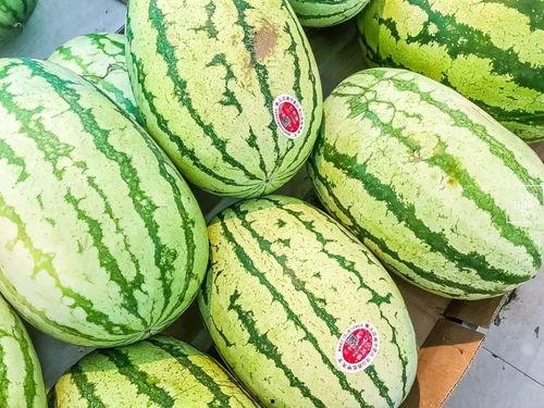 徐庆丰吃瓜,揭秘娱乐圈幕后故事