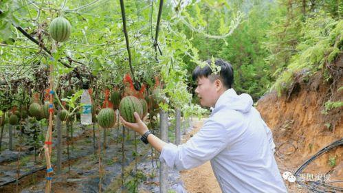 湖师吃瓜,揭秘那些“吃瓜”背后的故事