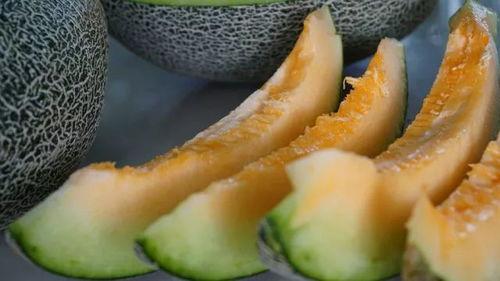 野生干饭带你吃瓜,野生干饭带你领略美食与娱乐的跨界之旅