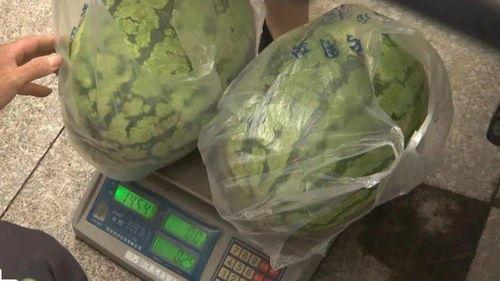 潢川吃瓜事情视频,一场网络热议背后的真相揭秘