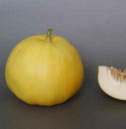 怀孕吃牛肉在吃哈密瓜,营养互补的孕期美食探索