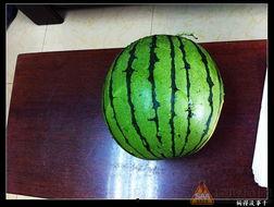 吃瓜 爱吃瓜,揭秘“吃瓜群众”的狂欢世界