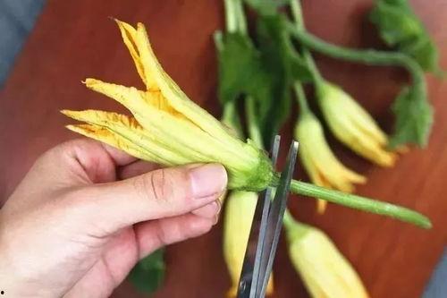 花味吃瓜后续,一场别开生面的美食之旅