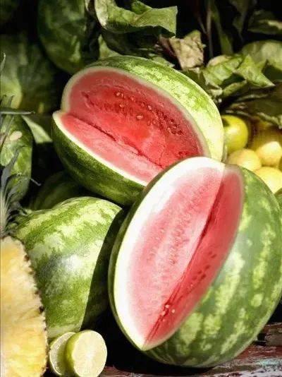 吃瓜神器购买,轻松享受夏日清凉新体验