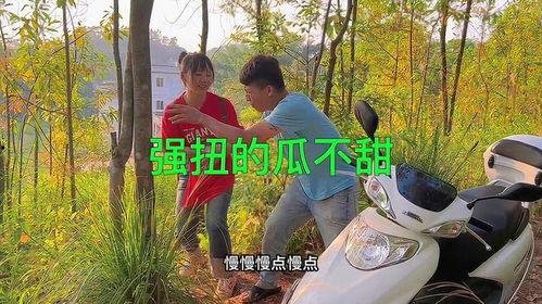 吃瓜不搬家视频,揭秘短视频背后的生活态度与社交现象