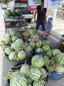 曹县吃瓜事件,一场网络狂欢背后的真相与反思