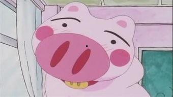 晴天小猪魔兽吃瓜