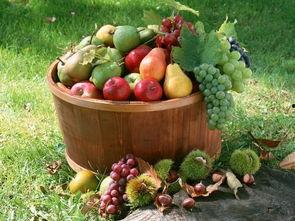 qq吃瓜fruit,fruit带你领略水果界的趣味风云