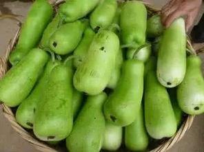 葫芦瓜能配啥吃,探索美食新境界