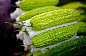 孕妇可以吃荨瓜,荨瓜助力母婴健康