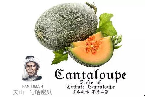 喝酒后吃瓜蜜瓜会怎么样,酒后吃瓜蜜瓜的奇妙体验