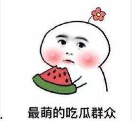 吃瓜决定,吃瓜群众视角下的娱乐圈风云录