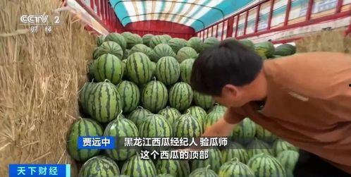 拉萨吃瓜吃到方舱,拉萨方舱里的“吃瓜”奇遇记