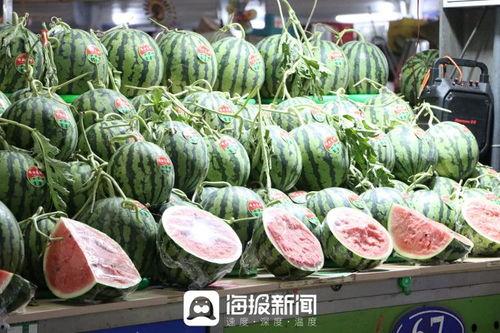 拉萨吃瓜吃到方舱,拉萨方舱里的“吃瓜”奇遇记