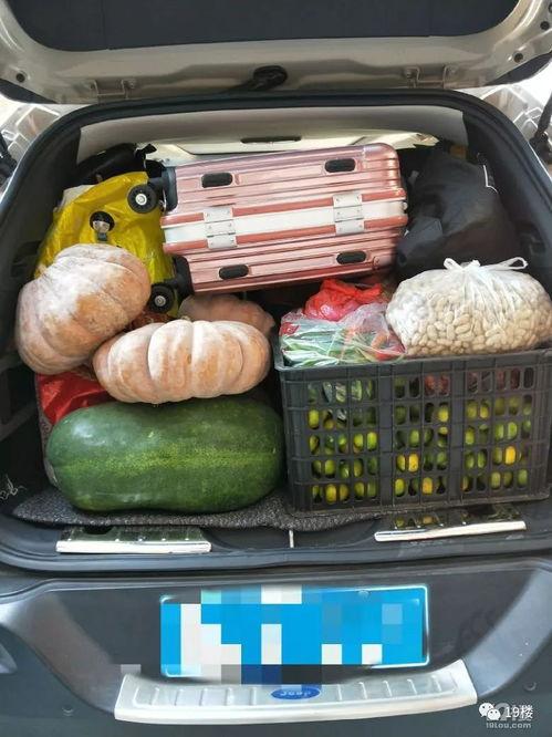 拉萨吃瓜吃到方舱,拉萨方舱里的“吃瓜”奇遇记