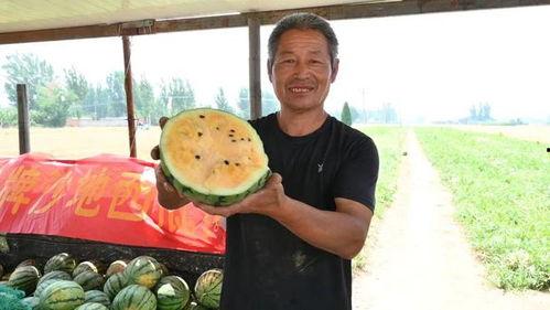 免费吃瓜入口附近,一场味蕾与心灵的盛宴