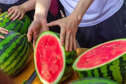 学校的吃瓜视频