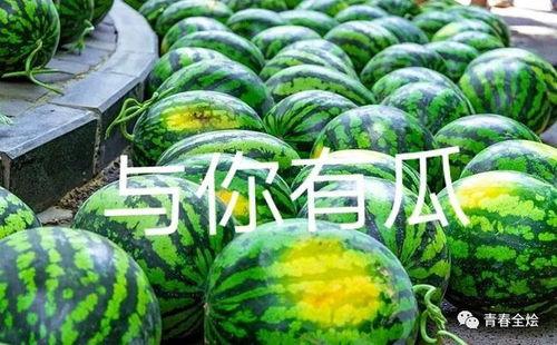 学校的吃瓜视频