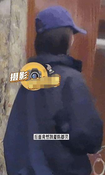 迷惑吃瓜,揭秘迷惑吃瓜背后的真相与笑料