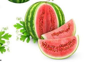 顾西西吃瓜,揭秘娱乐圈背后的秘密与真相