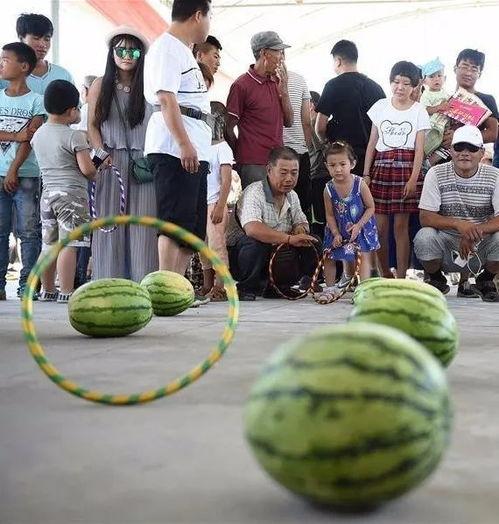 吃瓜群众之旅图片,一场视觉盛宴的奇妙探险