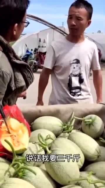 老板给吃的瓜