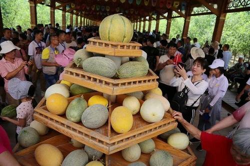 巴扎吃瓜,探寻中东市集的独特风情