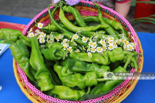 吃瓜爆料广西视频大全,揭秘当地热点事件