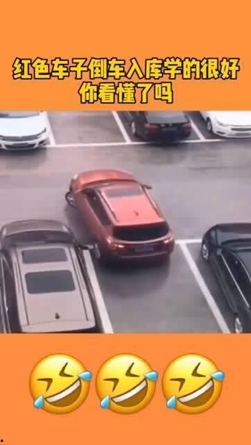 红车倒车吃瓜,一场意外引发的吃瓜盛宴