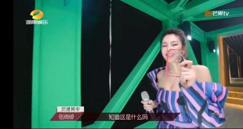 破浪姐姐吃瓜,揭秘娱乐圈幕后真相