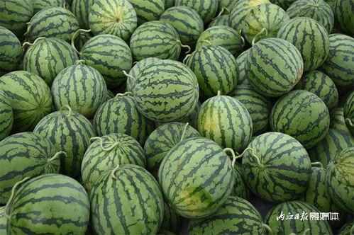 用管吸着吃的瓜是什么瓜,夏日消暑新宠，一口吸尽甜蜜滋味