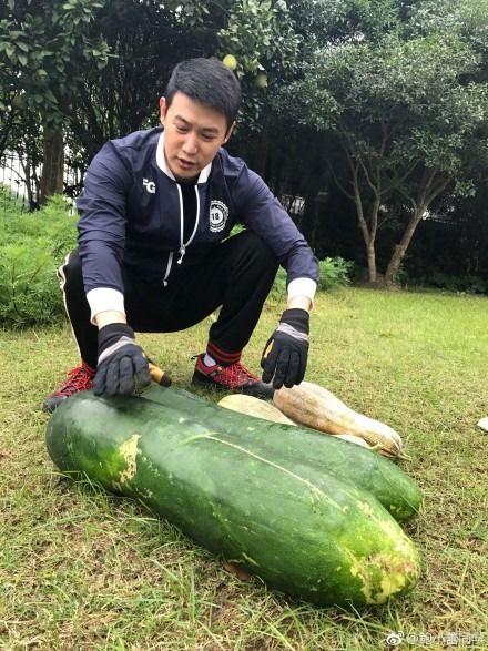 陆家吃瓜,揭秘娱乐圈背后的那些事儿