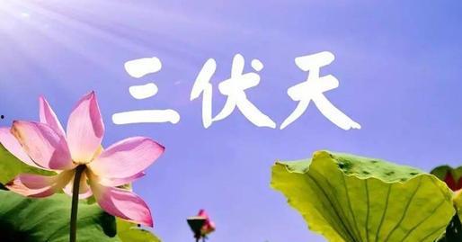 三伏吃三瓜三花三豆,三瓜三花三豆，夏季清凉滋补秘籍