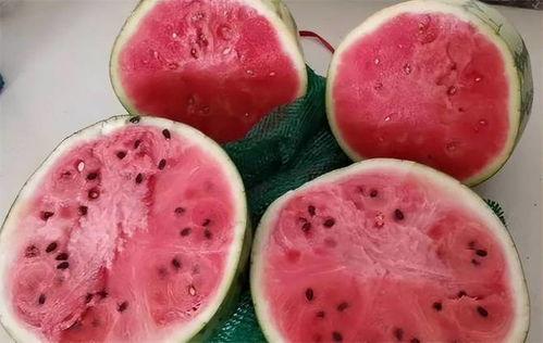 老外吃麒麟瓜好吗,新奇体验与美味分享