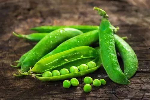 曾吃瓜文化,揭秘网络时代的“瓜田”盛景