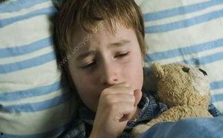 15岁少年吃瓜,揭秘瓜界奇闻轶事