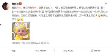 怎么回复吃瓜幽默,幽默回复大盘点