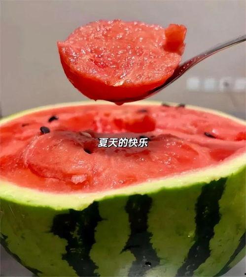 冷冻小瓜怎么吃,冷冻小瓜的多样美味食用指南