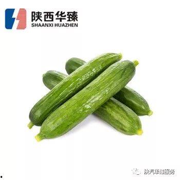 冷冻小瓜怎么吃,冷冻小瓜的多样美味食用指南