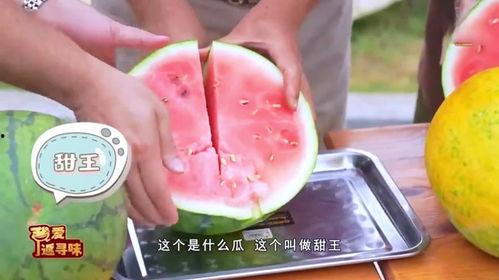 商场吃鸡吃瓜,吃鸡吃瓜，揭秘美食与娱乐的跨界盛宴