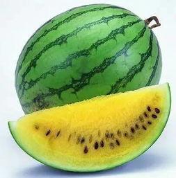 吃瓜忘记瓜,揭秘瓜界奇闻轶事