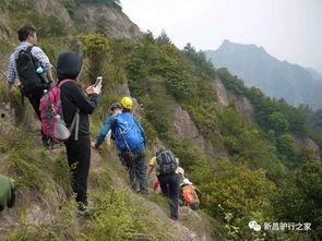 浙江爬山吃瓜事件,意外走红背后的社会现象探讨