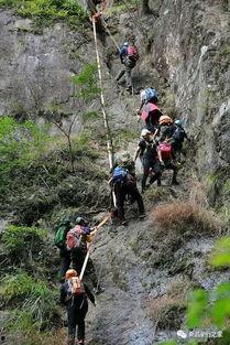 浙江爬山吃瓜事件,意外走红背后的社会现象探讨